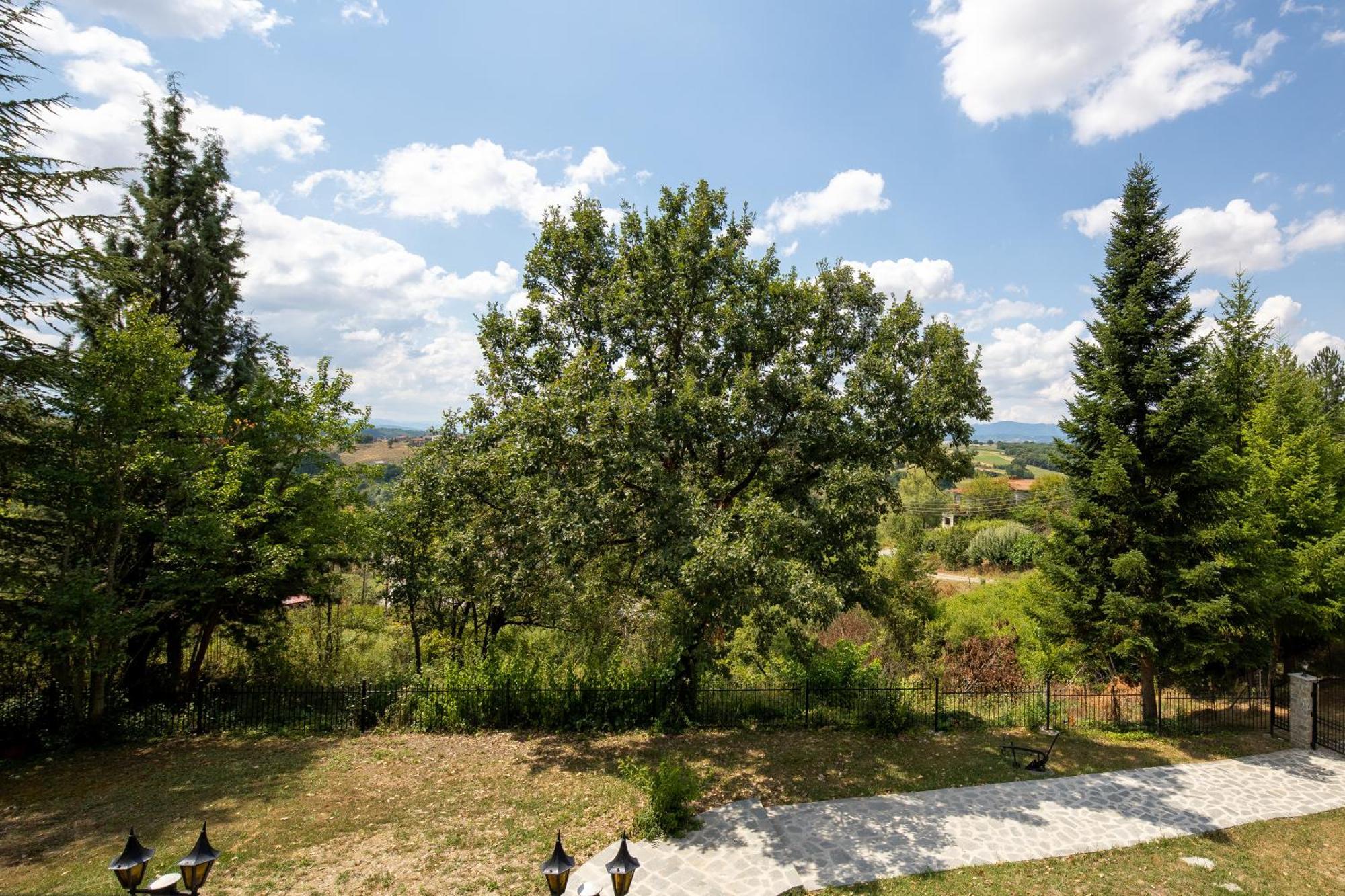 Zenios Dionysos - Traditional Villa Гревена Екстериор снимка