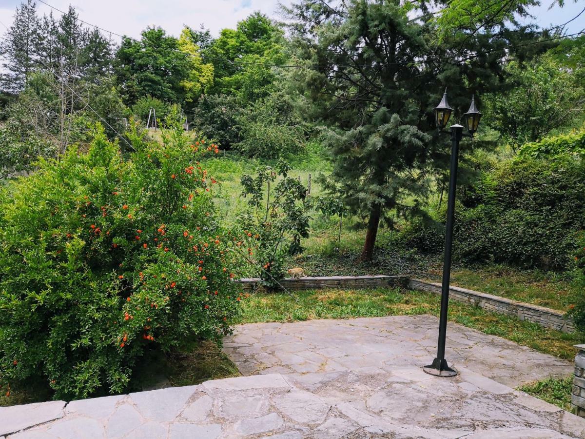 Zenios Dionysos - Traditional Villa Гревена Екстериор снимка